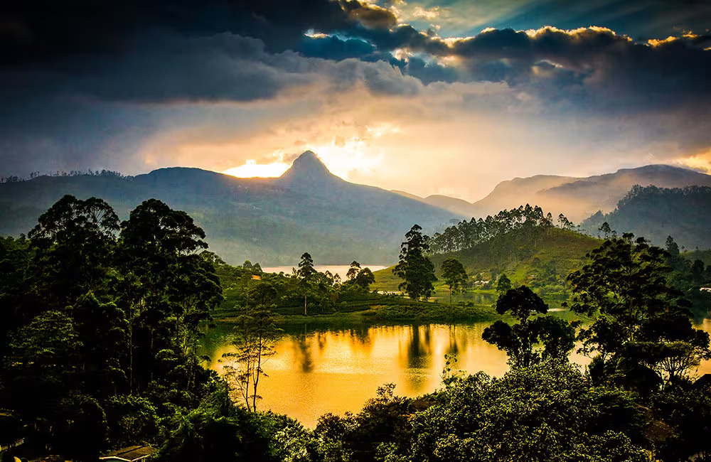 Kandy to Nuwara Eliya Private Transfer